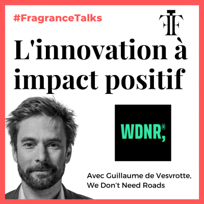 Innovation a impact positif guillaume de vesvrotte we dont need roads